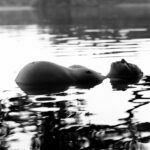 Schwangere liegt im Wasser von einem See und zeigt ihren Babybauch beim Babybauch Shooting in Hamburg draußen in der Natur